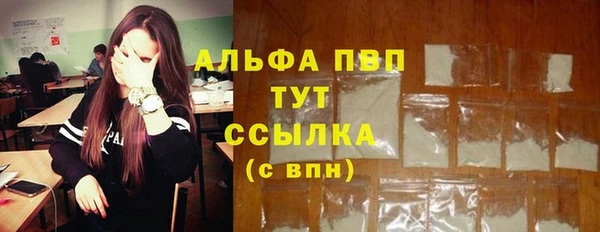 дмт Алексин