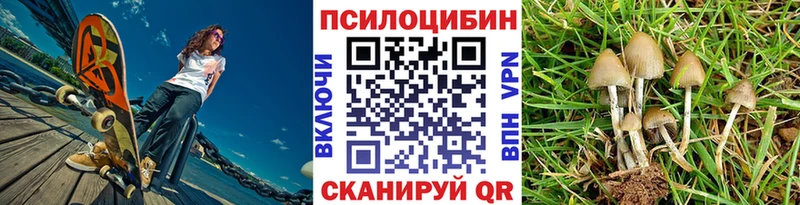 Псилоцибиновые грибы Magic Shrooms  сколько стоит  Старый Оскол 